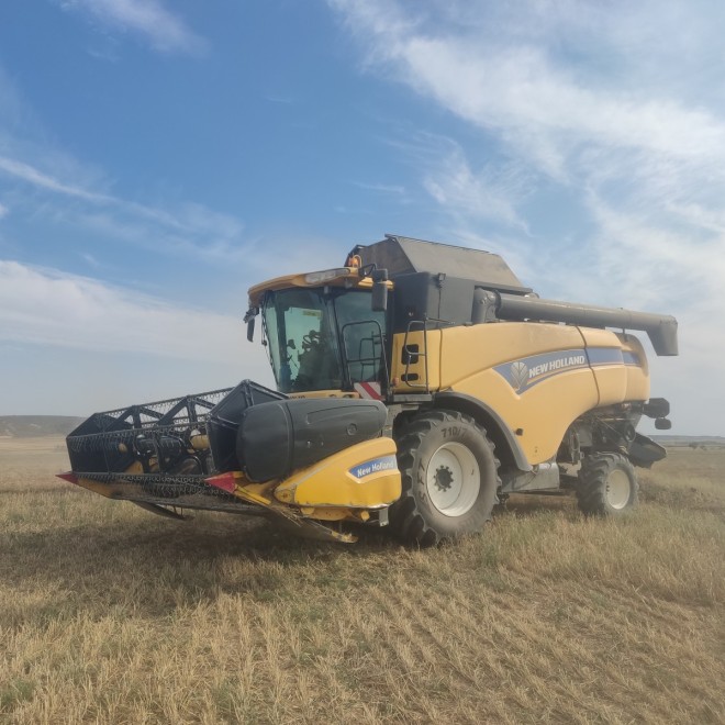 Cosechadora cereal New Holland CX780 