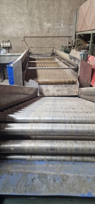 Linea para cítrico Desconocida
